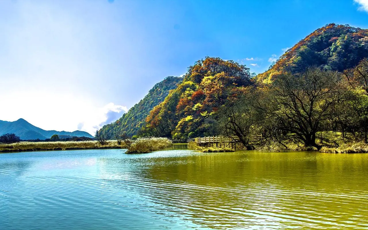 高性能高标准